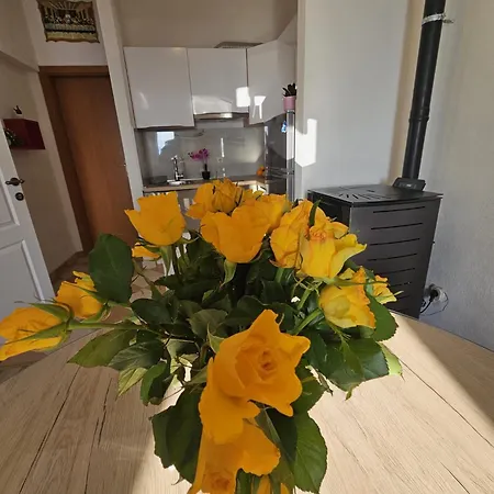Storija Apartament *