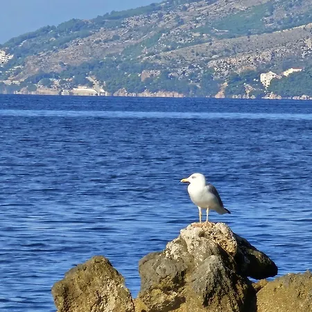 Storija